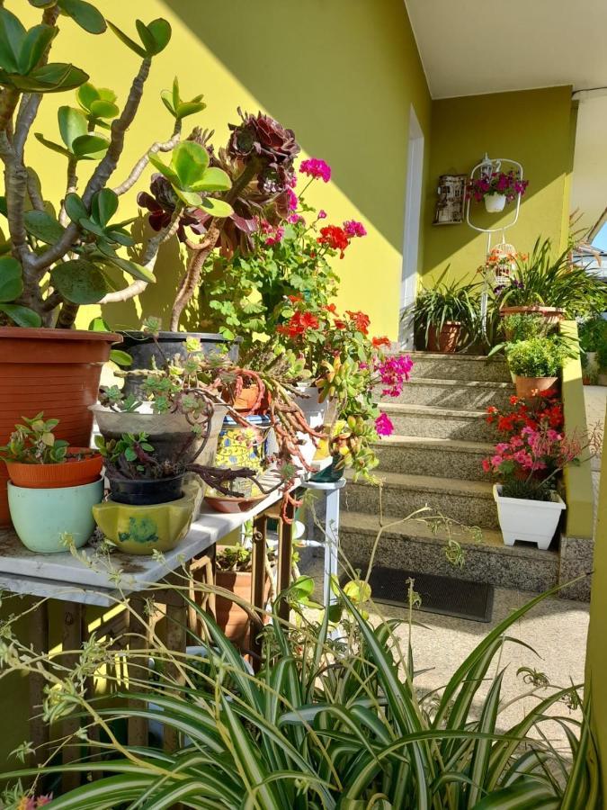 Corazon Do Val Da Lourina-Area Vigo Apartment Понтеведра Екстериор снимка